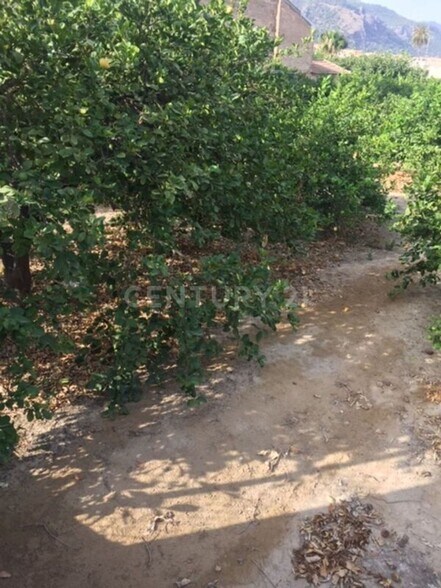 Terreno en Aledo en venta - Foto del edificio - Imagen 3 de 12