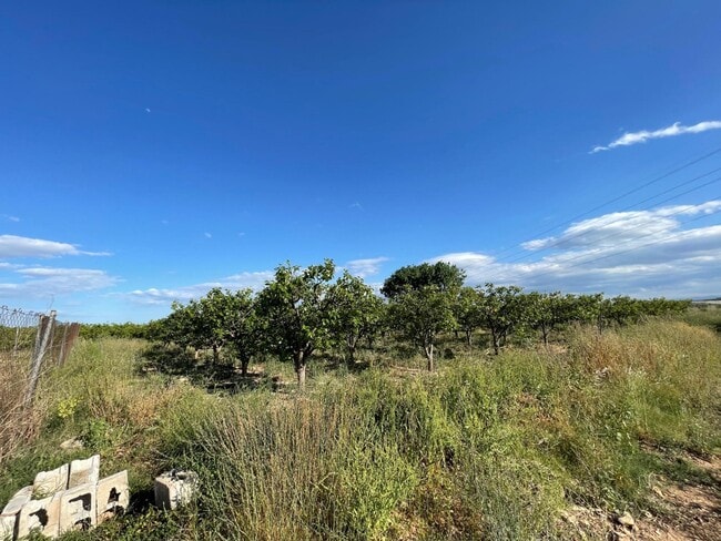 Más detalles de Numero, 302, Benimodo - Terreno en venta