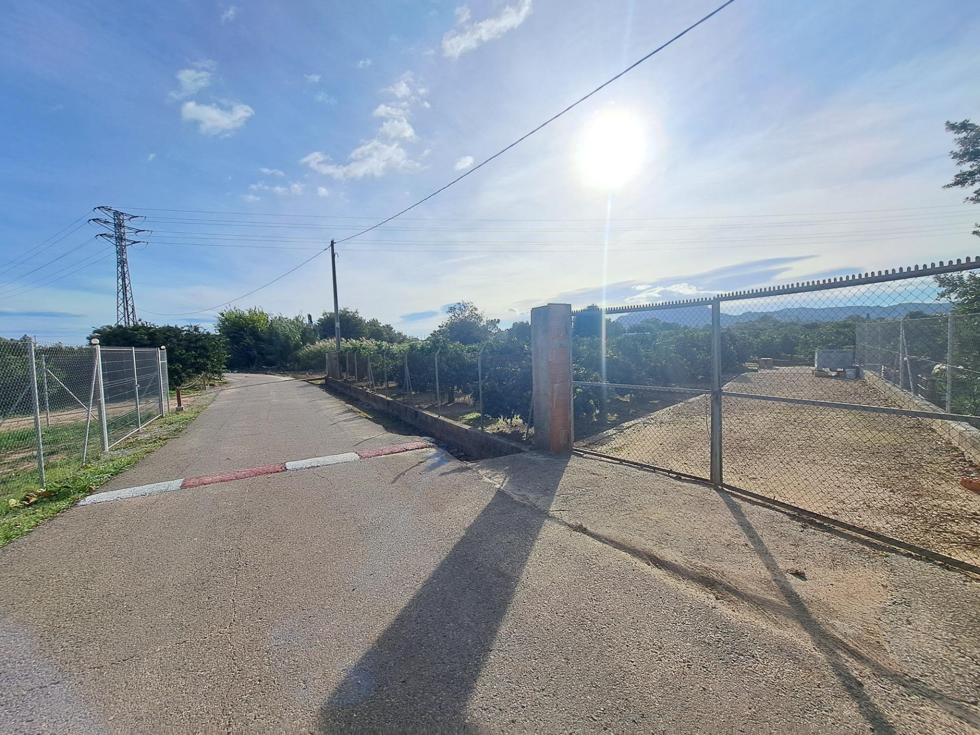 Terreno en Alzira, Valencia en venta Foto principal- Imagen 1 de 13