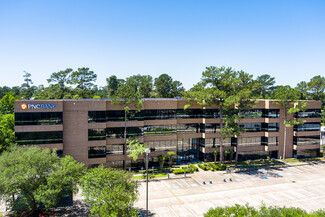 Más detalles para 25211 Grogans Mill Rd, The Woodlands, TX - Oficinas en alquiler