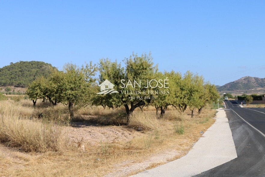 Terreno en MONÒVER, Alicante en venta - Foto principal - Imagen 2 de 14