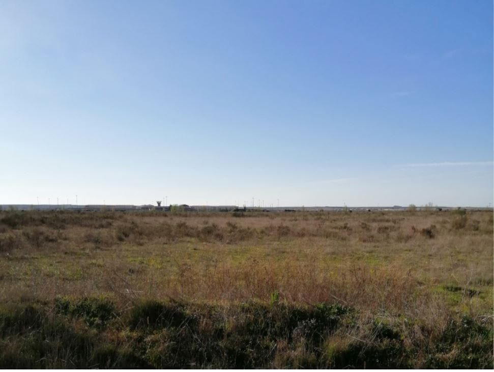 Nave en Mansilla de las Mulas en venta Foto del edificio- Imagen 1 de 6