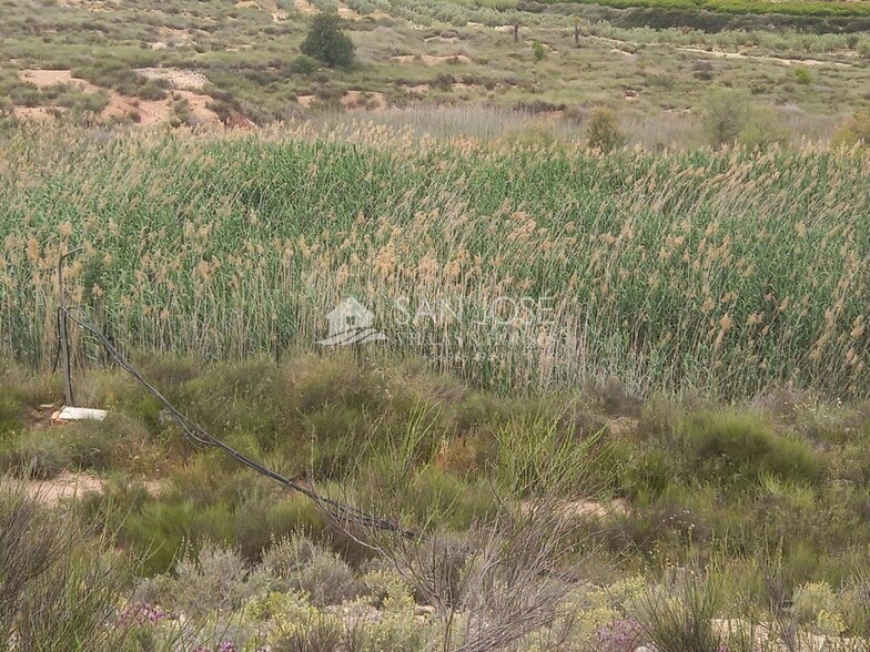 Terreno en Novelda, Alicante en venta - Foto principal - Imagen 3 de 17