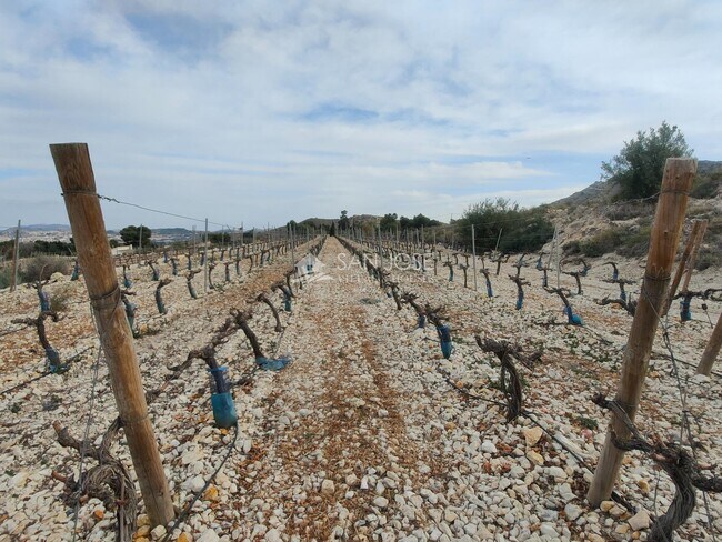 Más detalles de Polígono 2, 39-39, Aspe - Terreno en venta