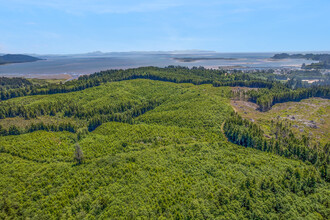 1000 Williams St, Ilwaco, WA - VISTA AÉREA  vista de mapa - Image1