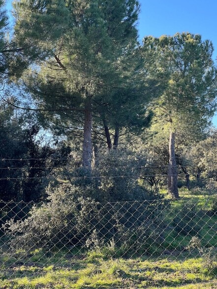 Calle Alsasua, 6, Madrid, Madrid en venta - Otros - Imagen 3 de 3