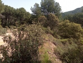 las, 215, Córdoba, COR - Aérea  vista de mapa