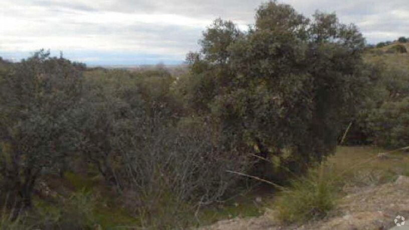 Terreno en Toledo, Toledo en venta - Foto del edificio - Imagen 3 de 3