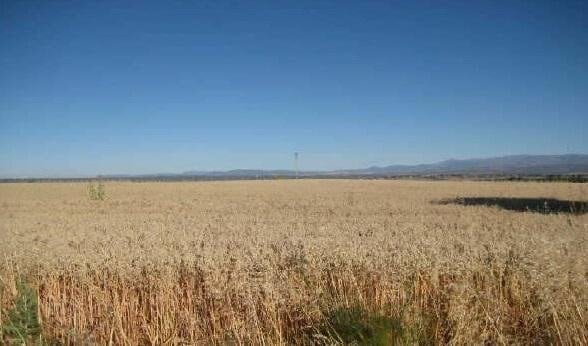 Más detalles de Terreno en venta