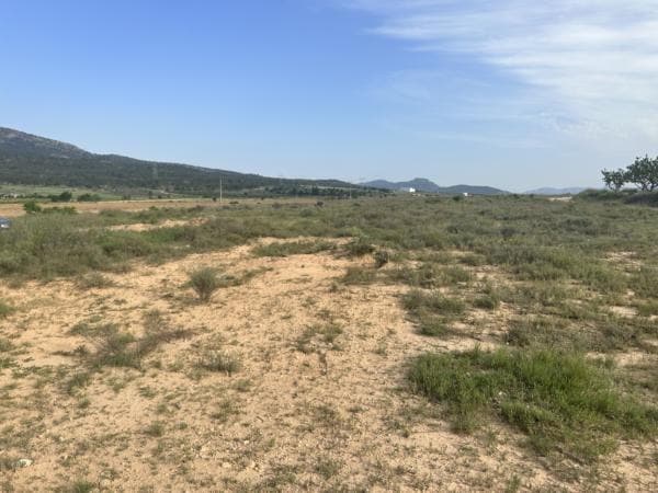 Terreno en Salinas, Alicante en venta Plano del sitio- Imagen 1 de 7