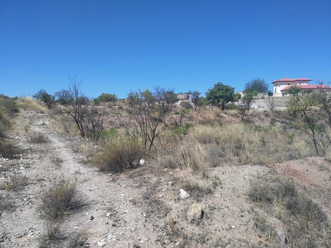 Terreno en Calasparra, Murcia en venta Plano del sitio- Imagen 1 de 8