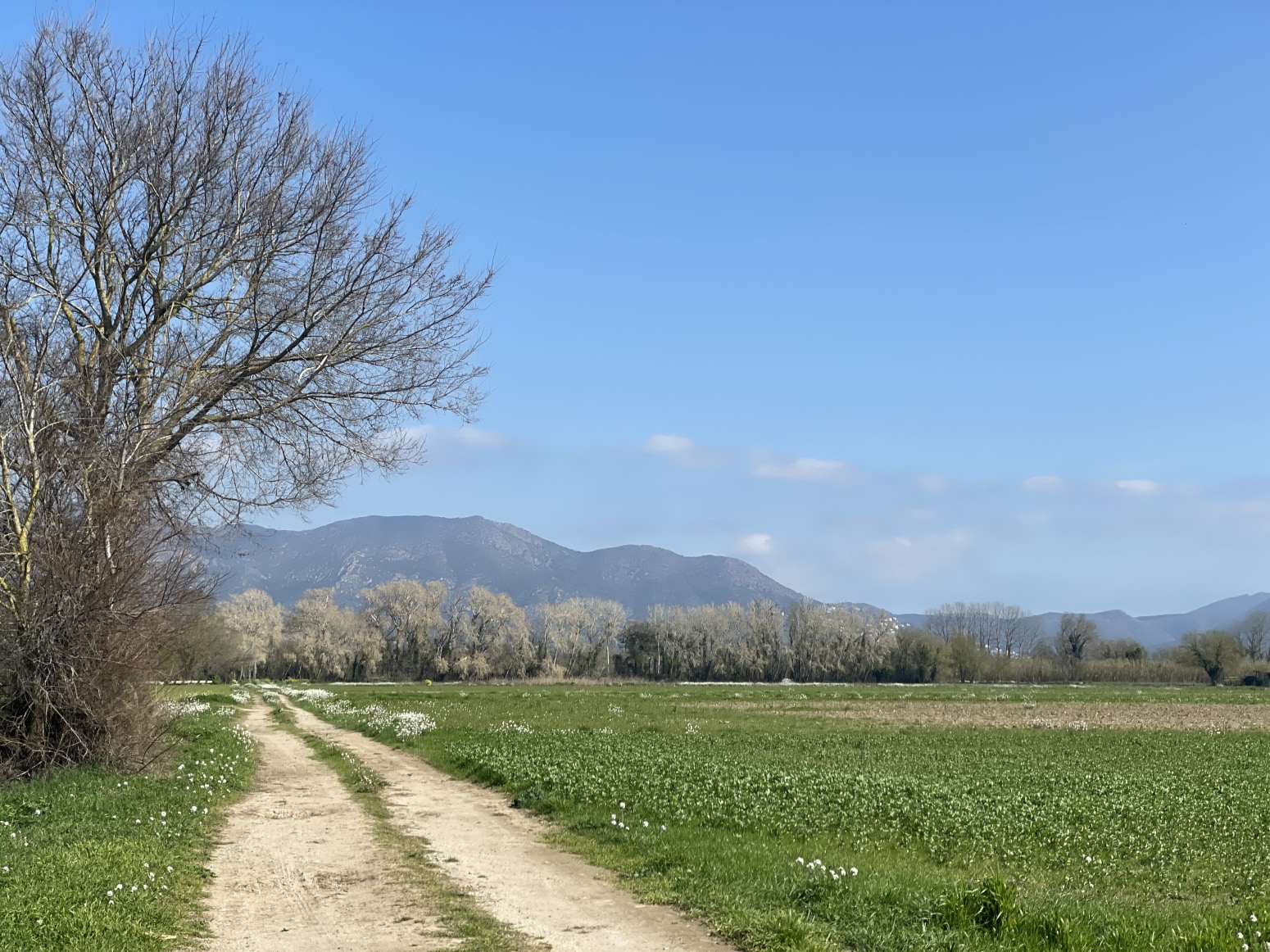 Polígono, 151, Castelló d'Empúries, Gerona en venta Vista aérea- Imagen 1 de 27