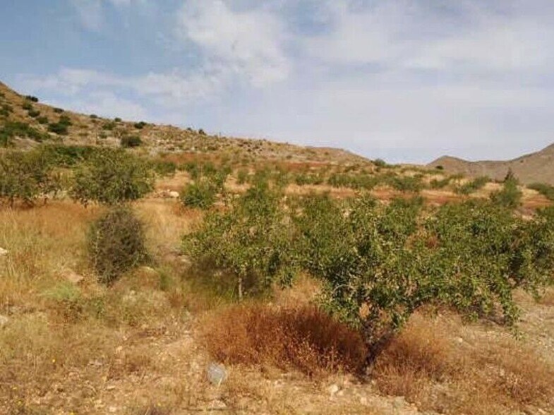 Paraje, Parcela 560 Y 6, Cartagena, Murcia en venta - Foto principal - Imagen 1 de 9