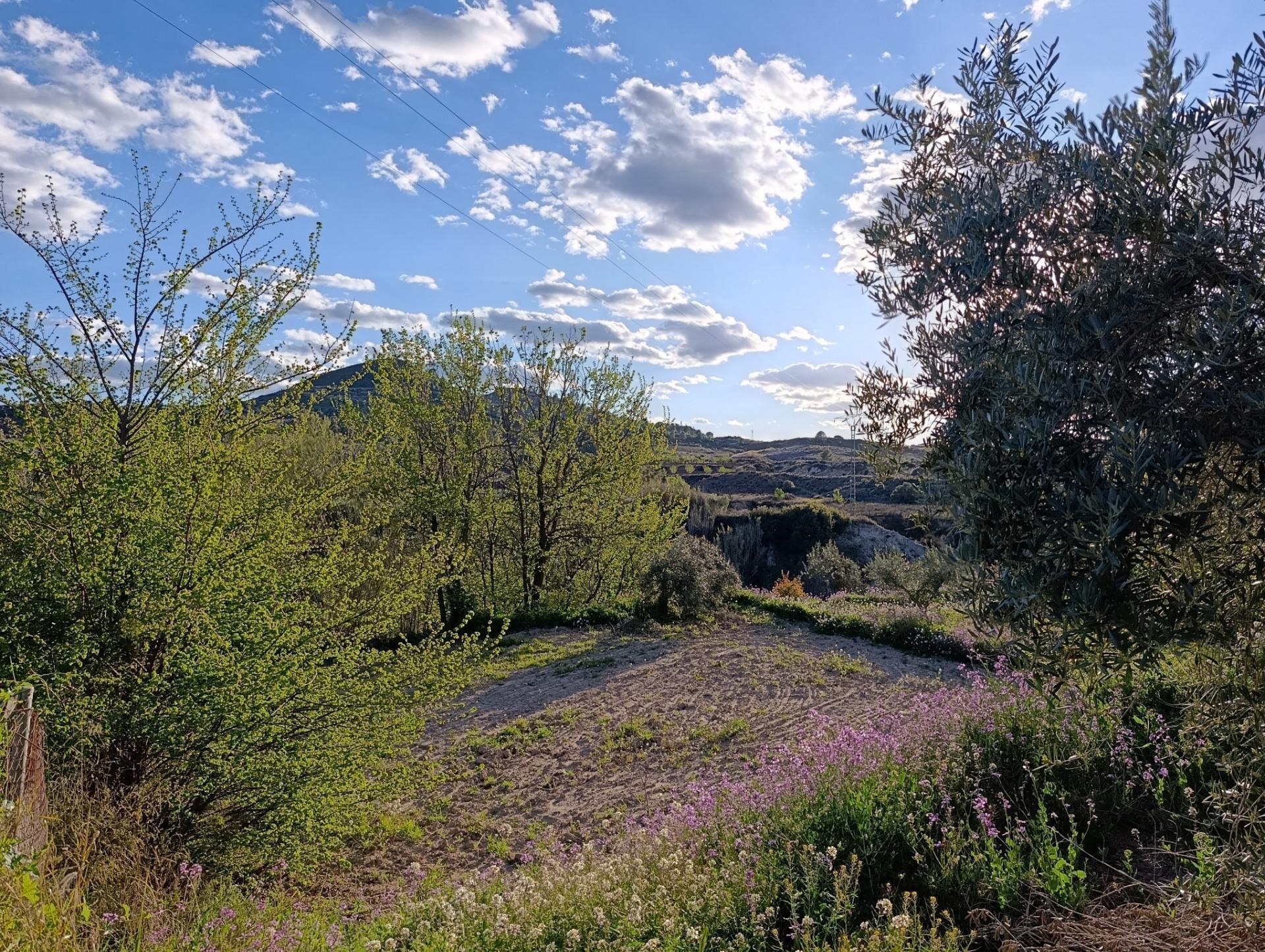 Terreno en Cehegín, Murcia en venta Foto del edificio- Imagen 1 de 7