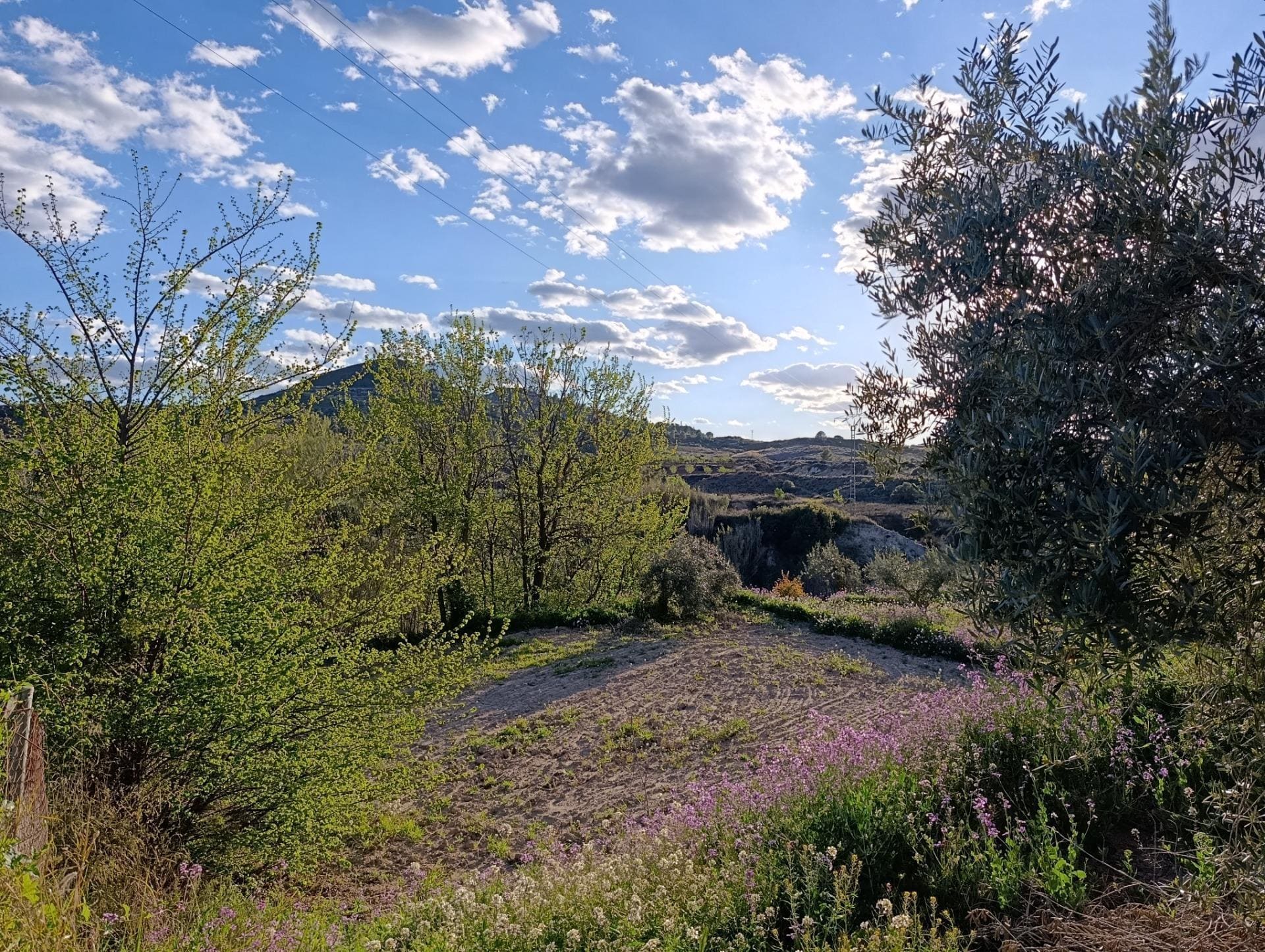 Terreno en Cehegín, Murcia en venta Foto del edificio- Imagen 1 de 7