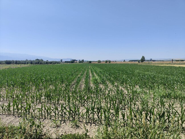 Más detalles de Carretera de Pinos Puente, Atarfe - Terreno en venta