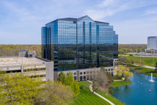 Más detalles para 2100 E Lake Cook Rd, Buffalo Grove, IL - Oficinas en alquiler