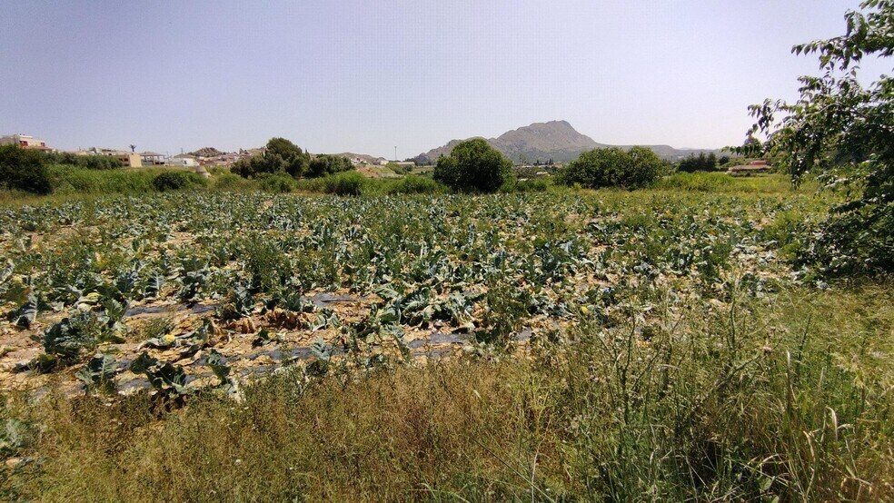 Terreno en Calasparra, Murcia en venta - Plano del sitio - Imagen 2 de 7