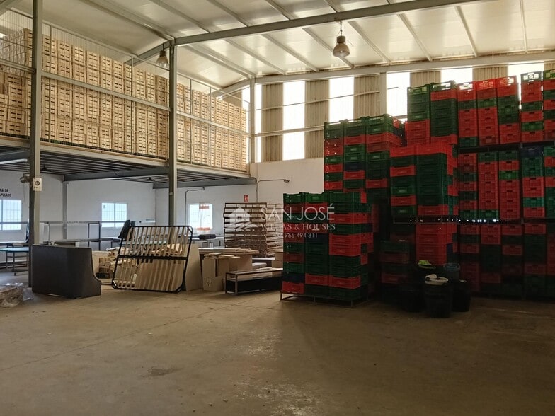 Terreno en Aspe, Alicante en venta - Foto del interior - Imagen 3 de 32