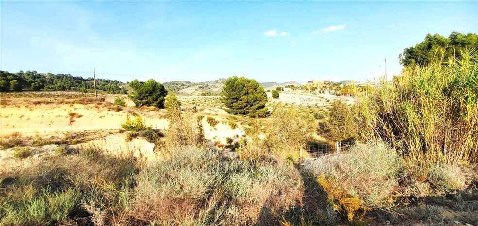 Monteral, 210, Mula, Murcia en venta - Vista aérea - Imagen 3 de 5