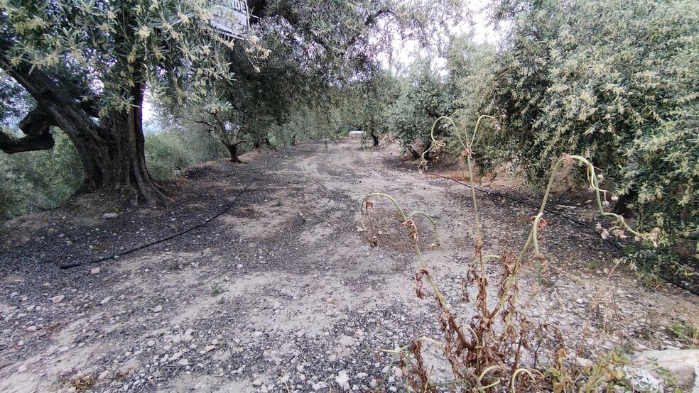 Terreno en Calasparra, Murcia en venta - Foto del edificio - Imagen 2 de 9