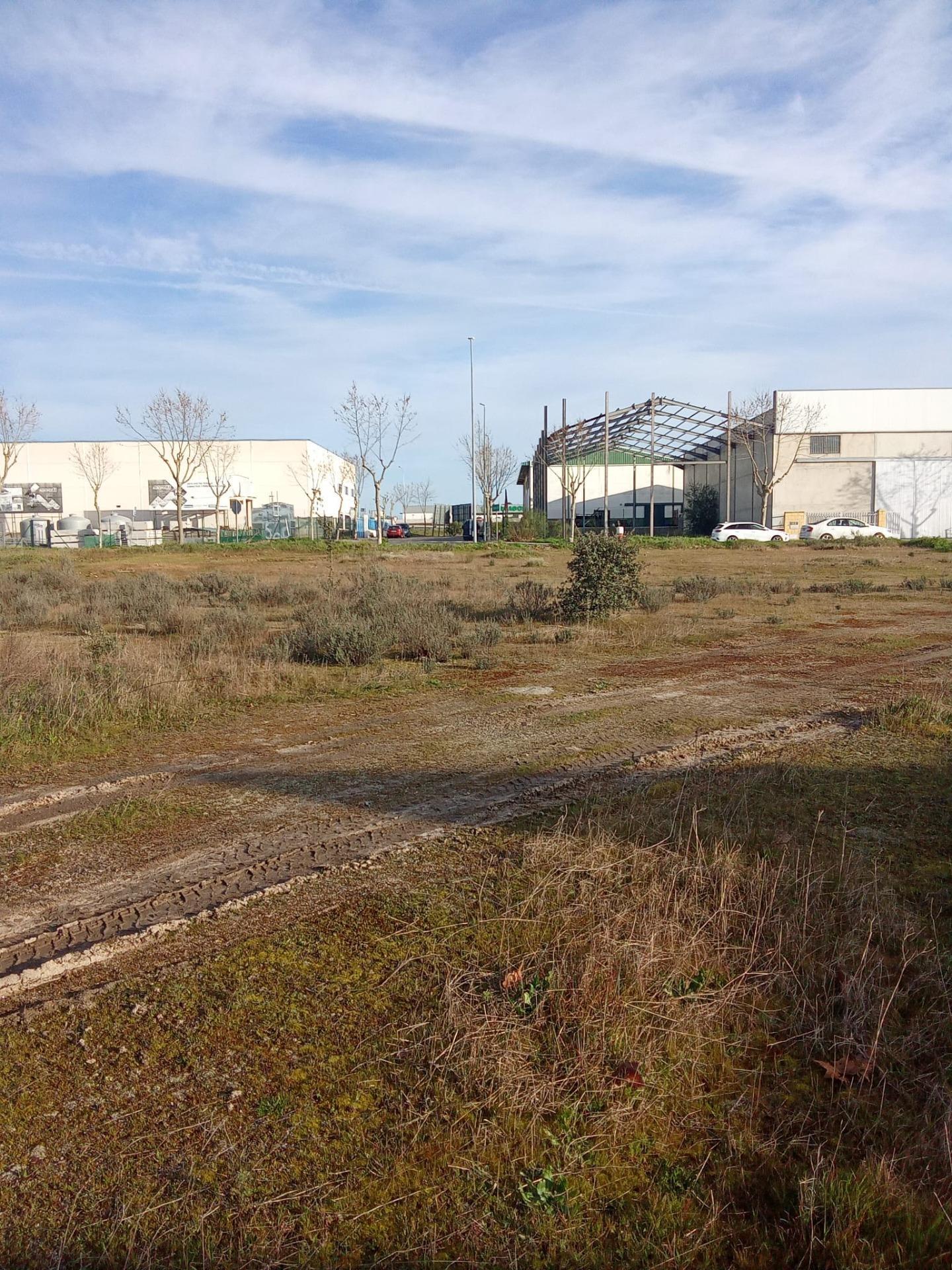 Calle(Ampliacion P.Ind.), 3, A, Malpartida de Cáceres, Cáceres en venta Foto principal- Imagen 1 de 7