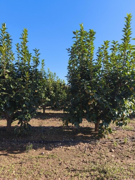 Plaça Bandes de Música de la Comunitat Valenciana, 5, València, Valencia en venta - Foto del edificio - Imagen 2 de 6