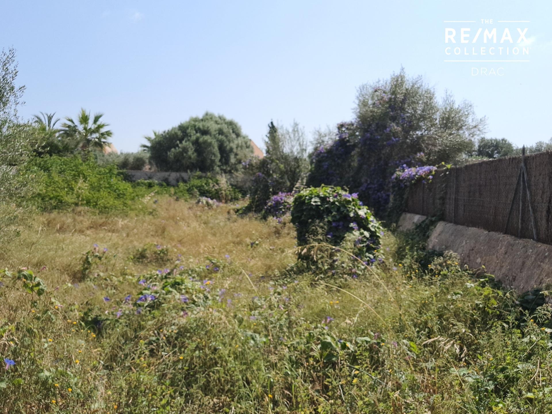 Terreno en Santanyí, Islas Baleares en venta Foto principal- Imagen 1 de 5