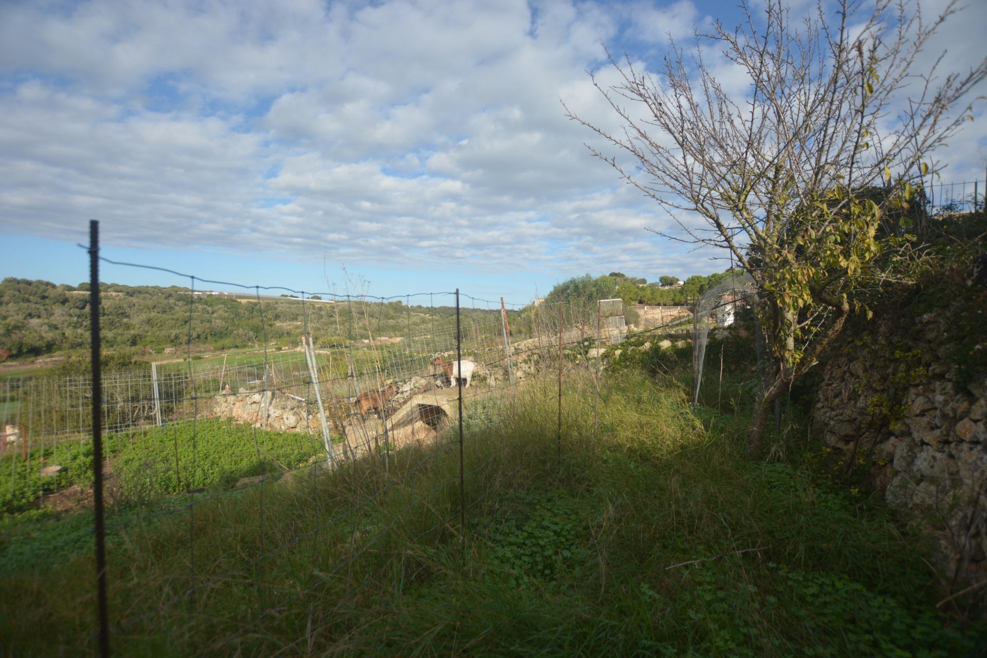 Terreno en Es Migjorn Gran, Islas Baleares en venta Foto del edificio- Imagen 1 de 11