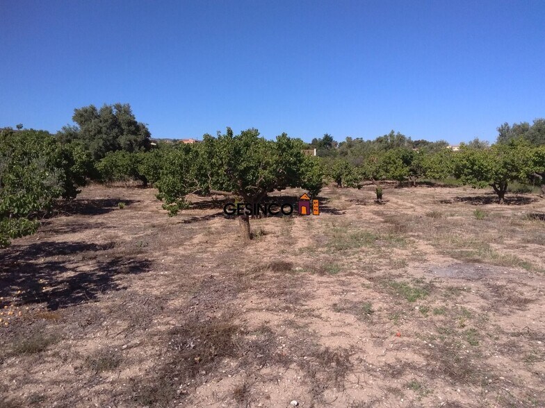 Terreno en Ontinyent en venta - Foto del edificio - Imagen 2 de 3