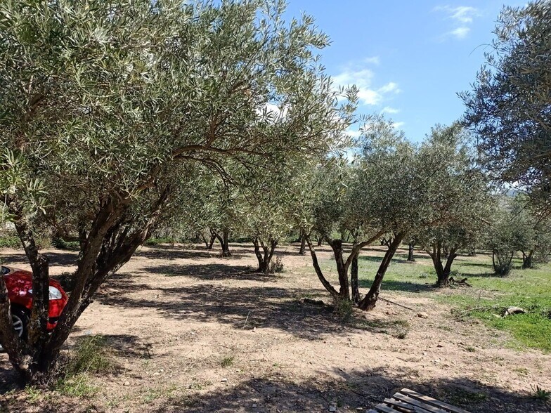 Terreno en Fondón, Almería en venta - Foto principal - Imagen 1 de 2