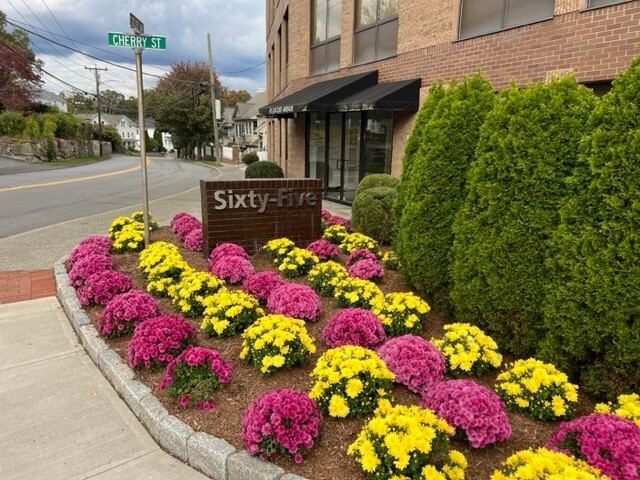 65 Locust Ave, New Canaan, CT en alquiler - Foto del edificio - Imagen 3 de 6