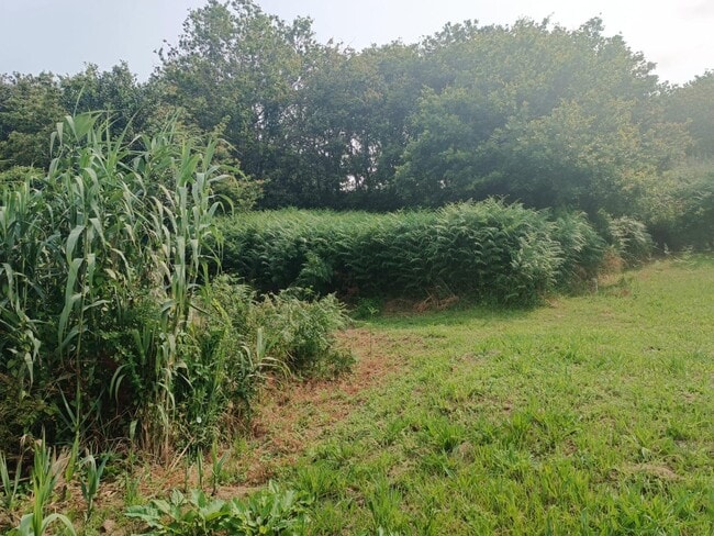 Más detalles de Camiño San Xurxo, Vigo - Terreno en venta