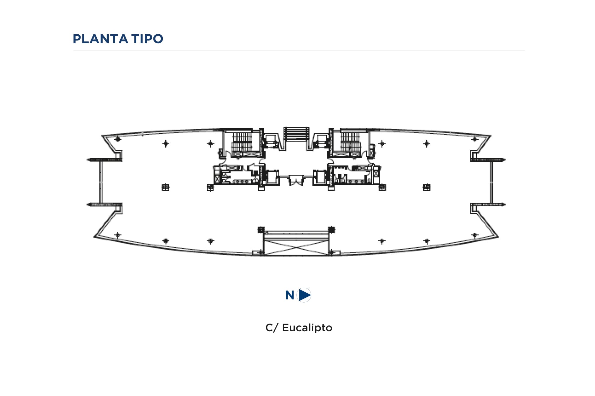 Calle de Eucalipto, 33, Madrid, Madrid en alquiler Plano de planta tipo- Imagen 1 de 1