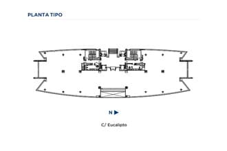 Calle de Eucalipto, 33, Madrid, Madrid en alquiler Plano de planta tipo- Imagen 1 de 1