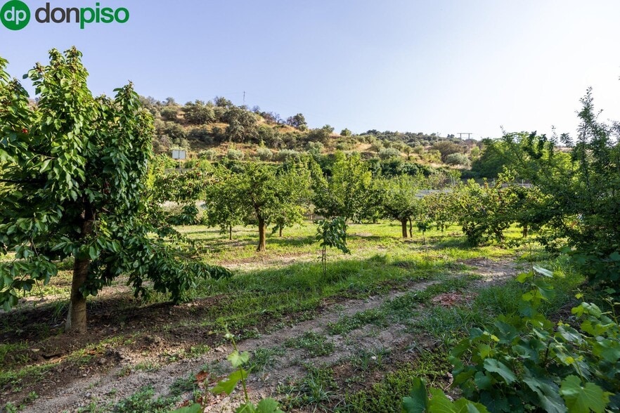 Paseo la Duquesa, S/N, Pinos Genil, Granada en venta - Foto del edificio - Imagen 2 de 41