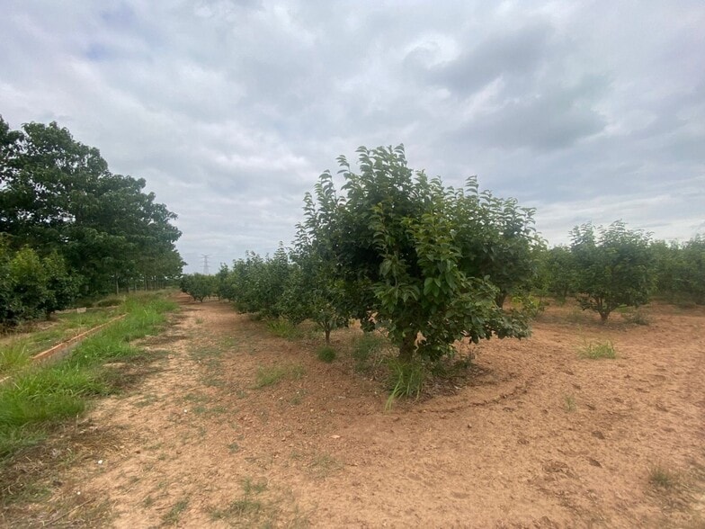 Terreno en València en venta - Foto del edificio - Imagen 1 de 10