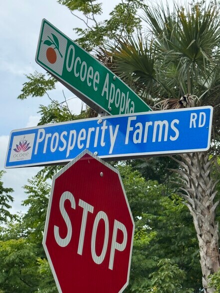 785 Pine St, Ocoee, FL en venta - Foto del edificio - Imagen 1 de 1