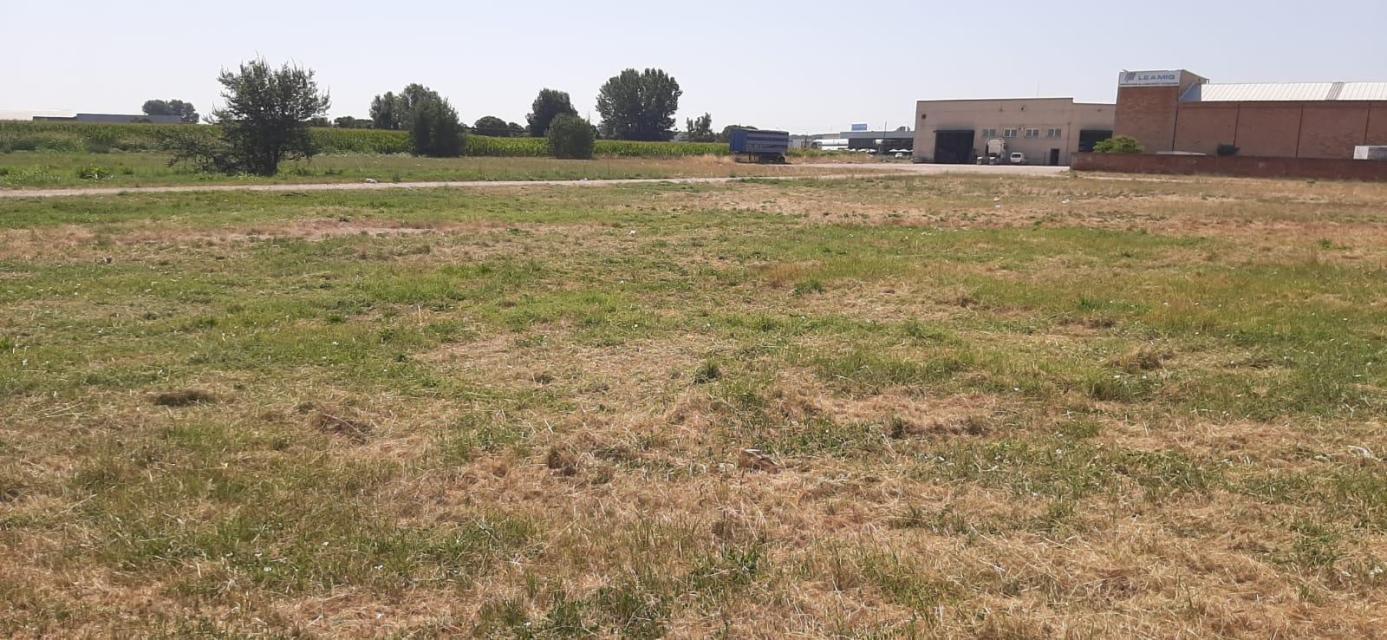 Carrer Canigó, 12, Golmés, Lérida en venta Plano de la planta- Imagen 1 de 5