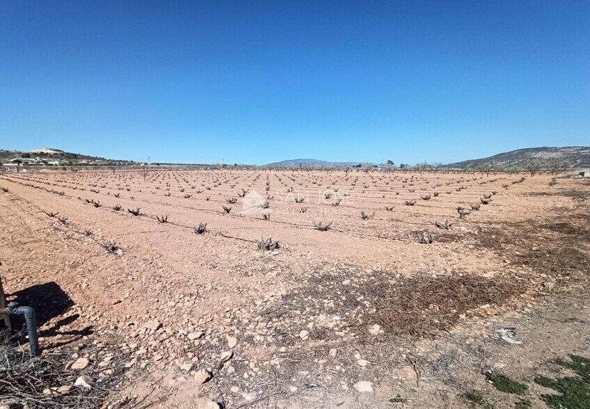 Terreno en PINOSO en venta - Foto del edificio - Imagen 2 de 3