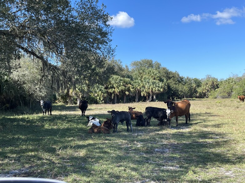 Roberts Ranch Road, Clewiston, FL en venta - Otros - Imagen 1 de 40