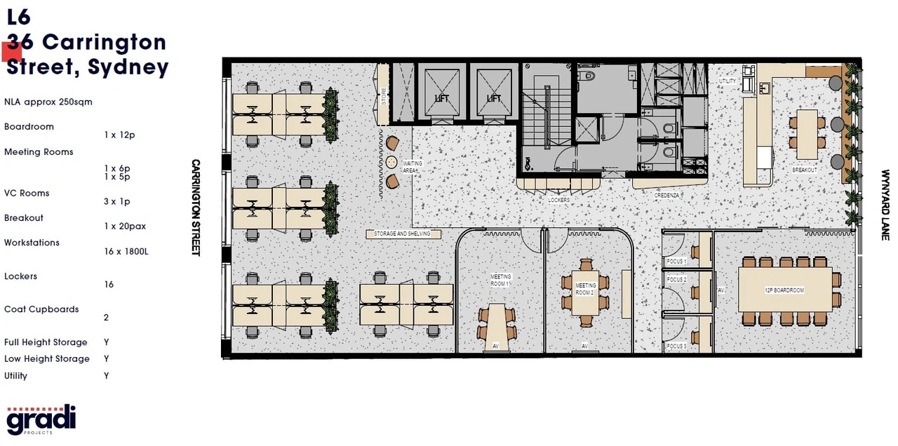 34-36 Carrington St, Sydney en alquiler Plano de la planta- Imagen 1 de 1