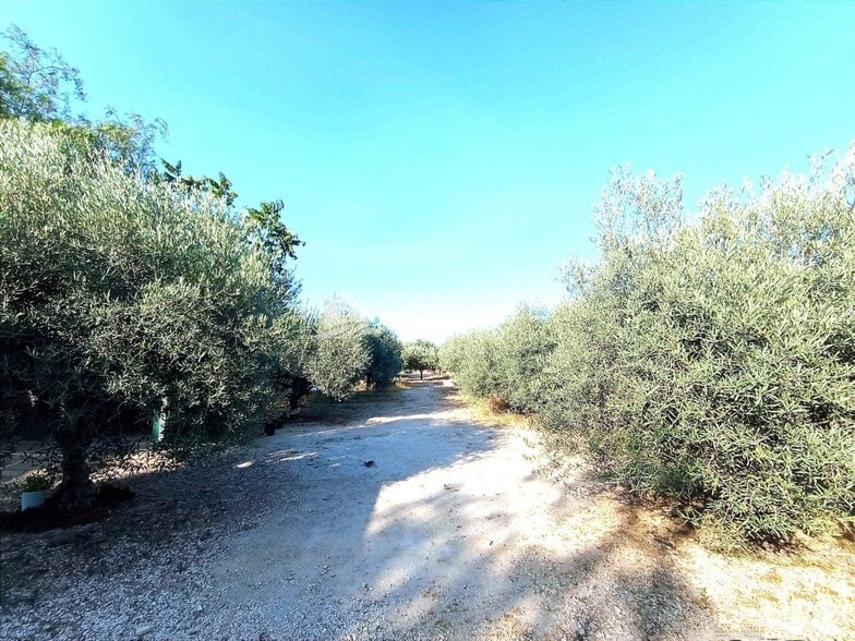 Terreno en La Romana en venta - Foto del edificio - Imagen 3 de 20