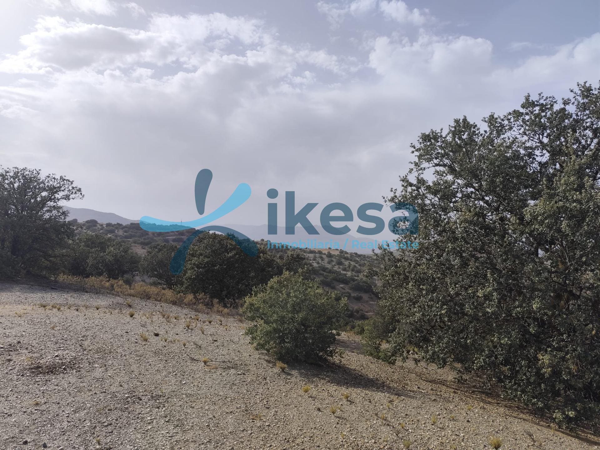 Terreno en Vélez-Rubio, Almería en venta Foto del edificio- Imagen 1 de 27