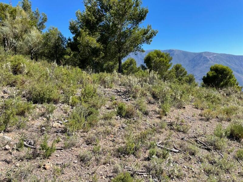 Polígono, 3, Carataunas, Granada en venta Plano del sitio- Imagen 1 de 9