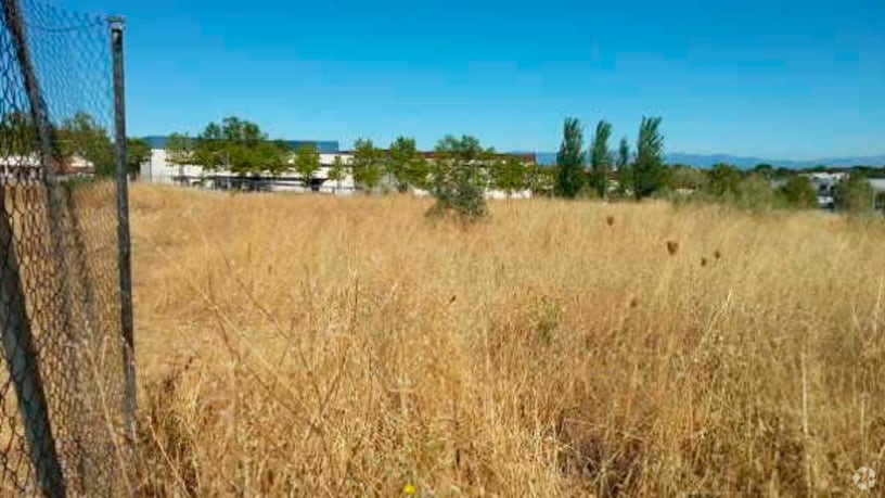 Terreno en Alcorcón, Madrid en venta - Foto del edificio - Imagen 3 de 3