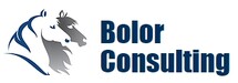 Bolor Consulting