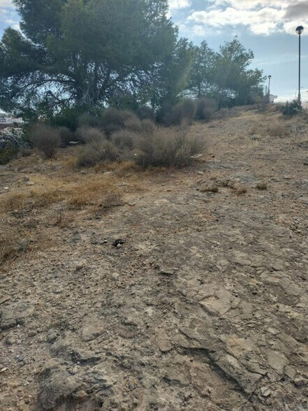 Terreno en Rojales, Alicante en venta - Foto del edificio - Imagen 3 de 6