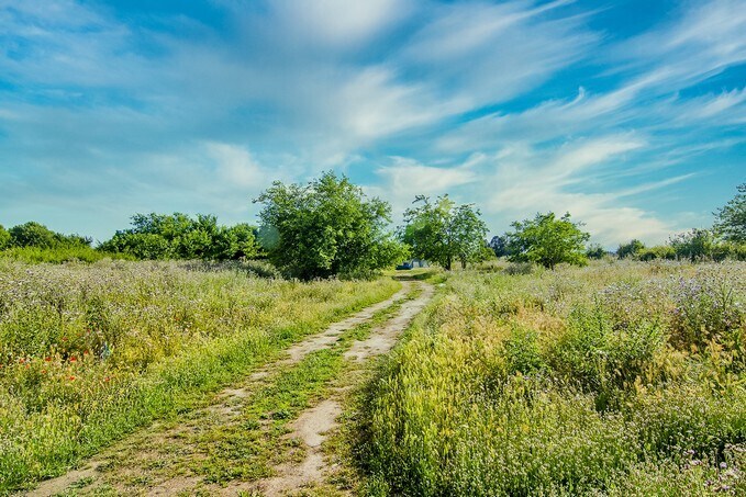 Terreno en Lleida, Lérida en venta - Foto del edificio - Imagen 2 de 8