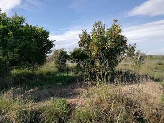 Más detalles de Paraje Huerto Naranjos, S/N, Murcia - Terreno en venta